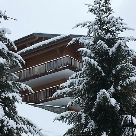 Les 4 Elements Aparthotel Chatel Ngoại thất bức ảnh